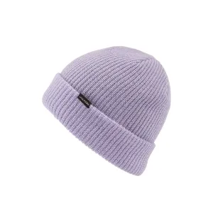 Volcom Polar Lined Beanie 2022